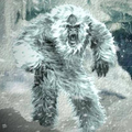 Yeti