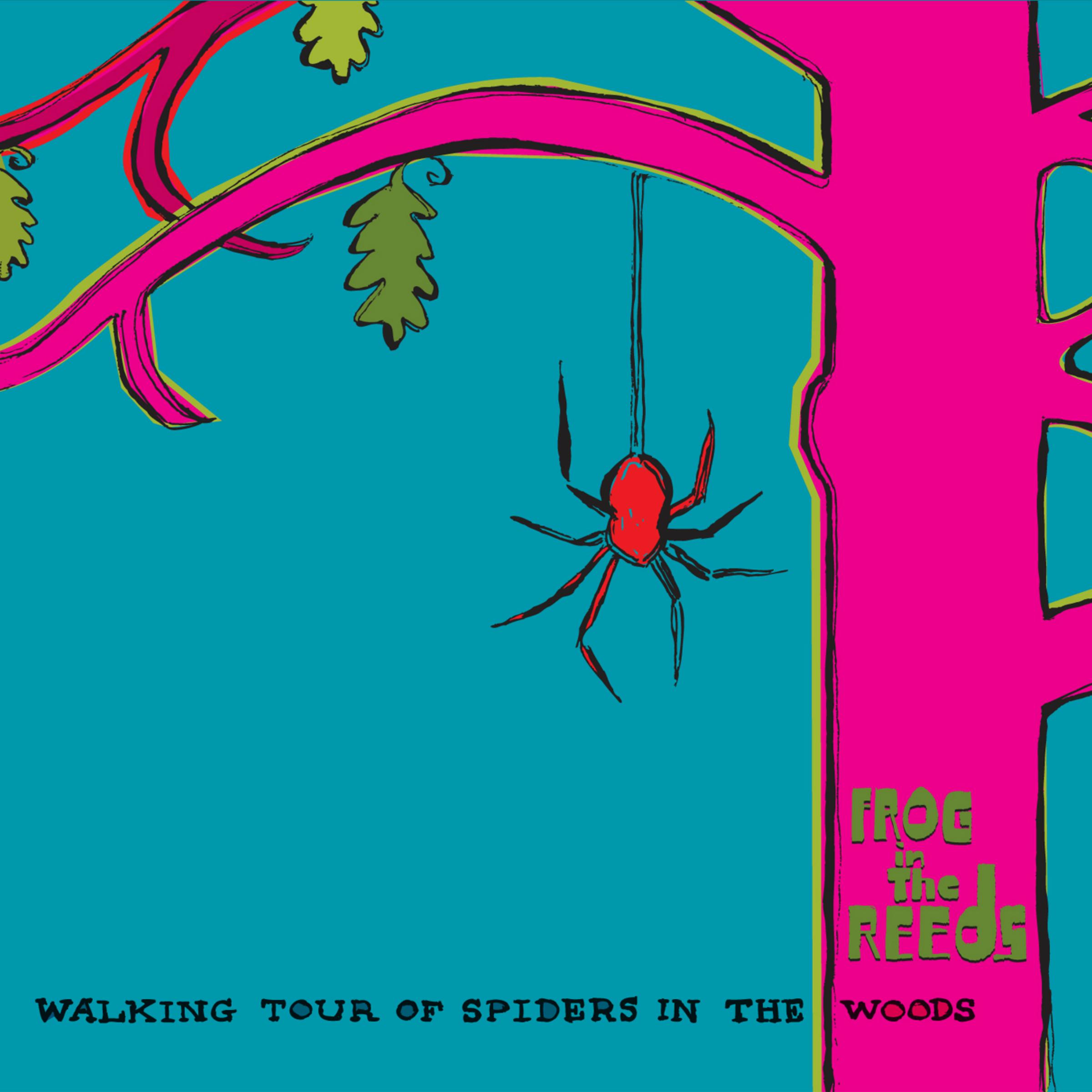 Walking Tour of Spiders in the Woods