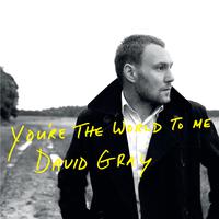 You re The World To Me - David Gray