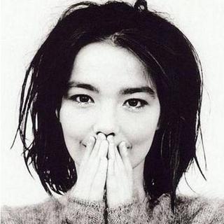 Björk 精选集：Hunter
