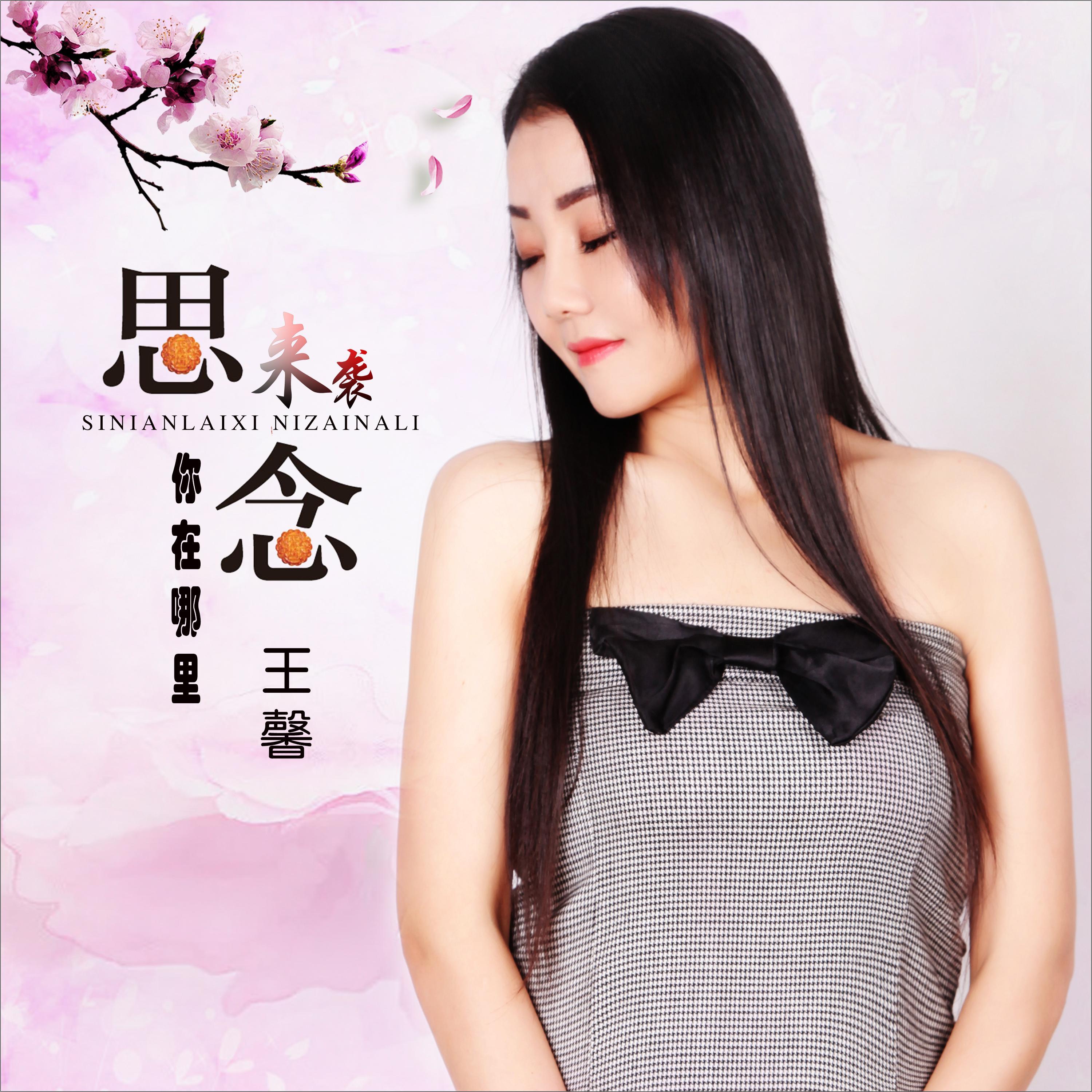 思念来袭你在哪里 (DJ何鹏版)