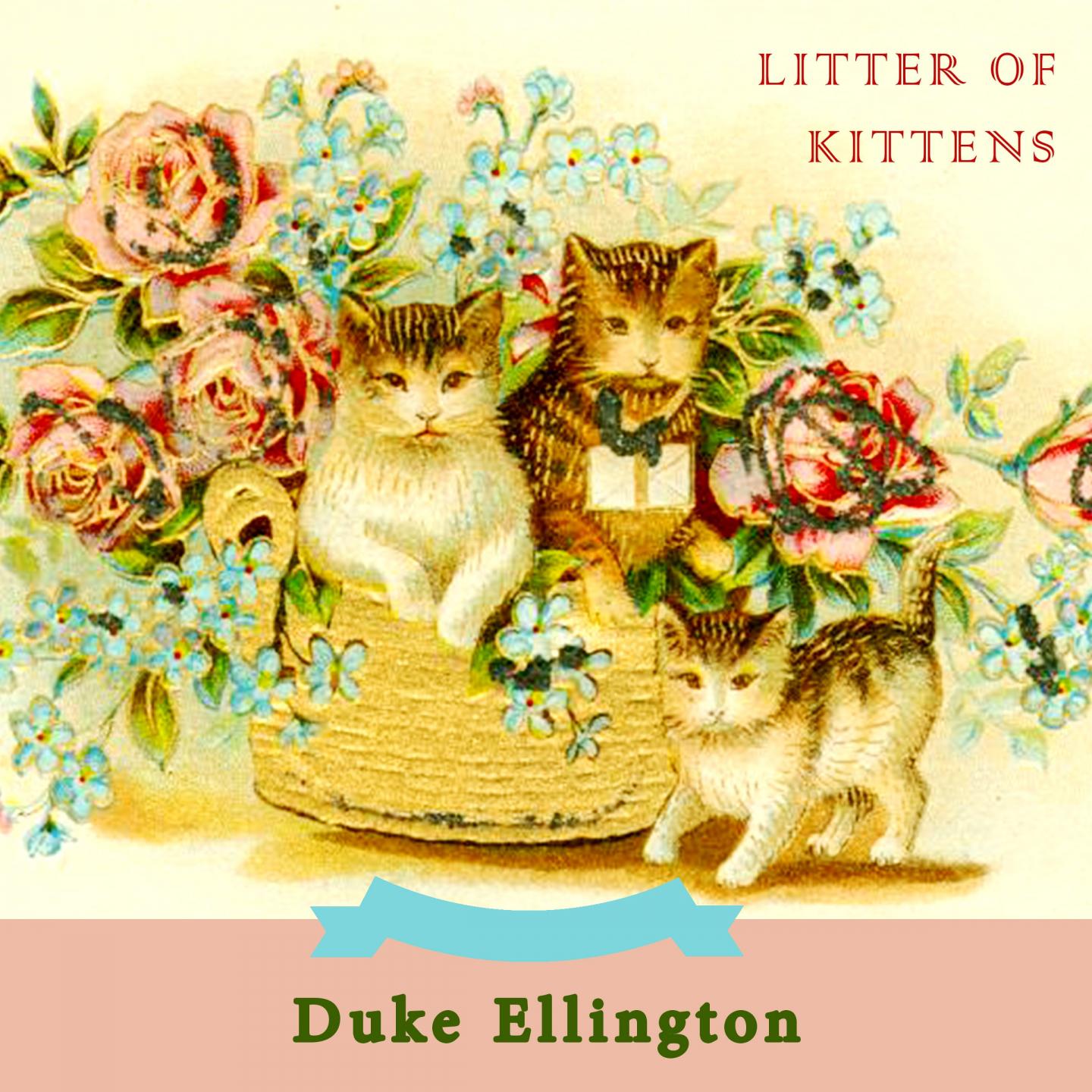 Litter Of Kittens专辑