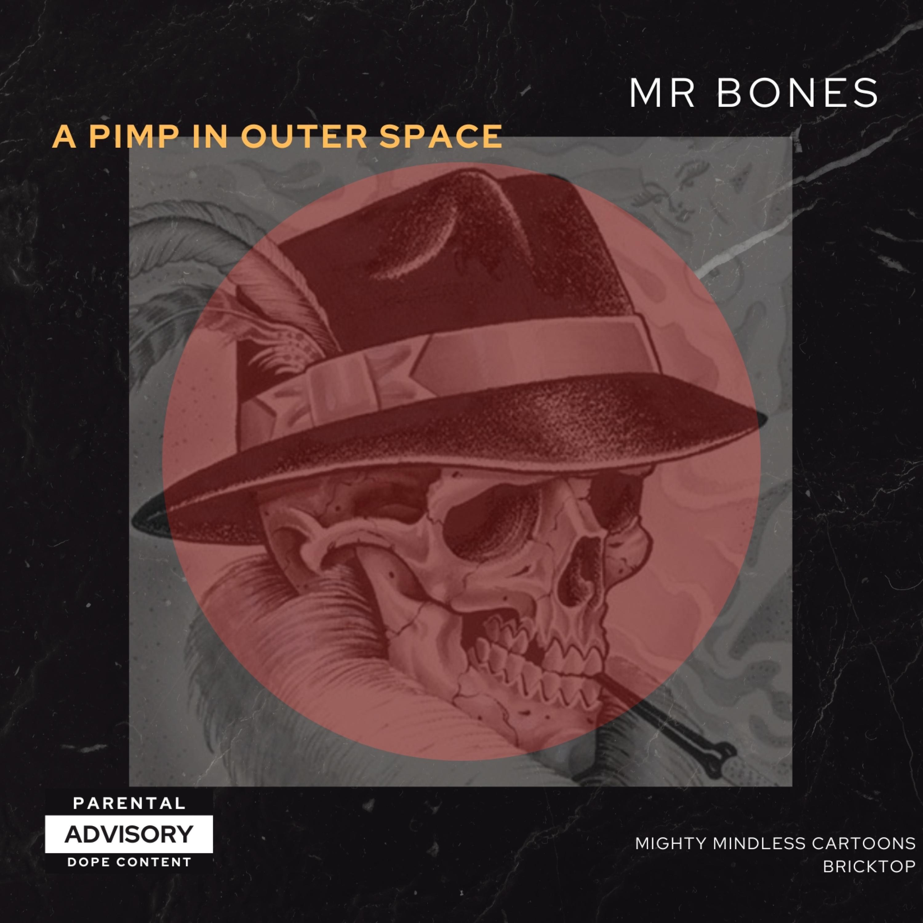 Mr Bones - Nosebleed Funk