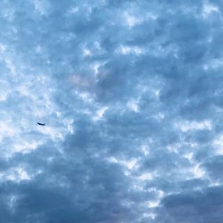 粤丨我飞向你在的南方，是跨区之恋的开场