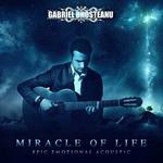 Miracle Of Life - Epic Emotional Acoustic专辑