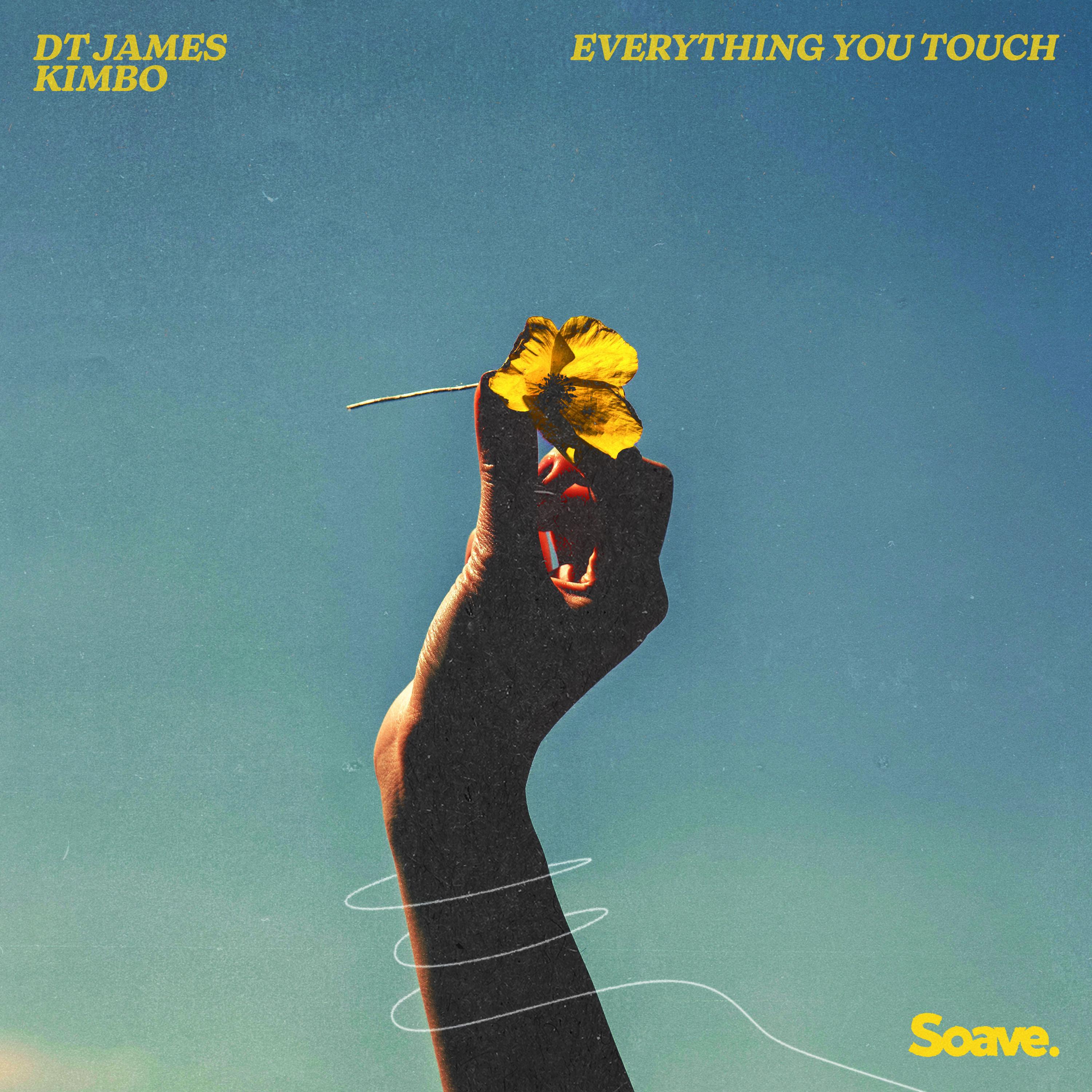 DT James - Everything You Touch