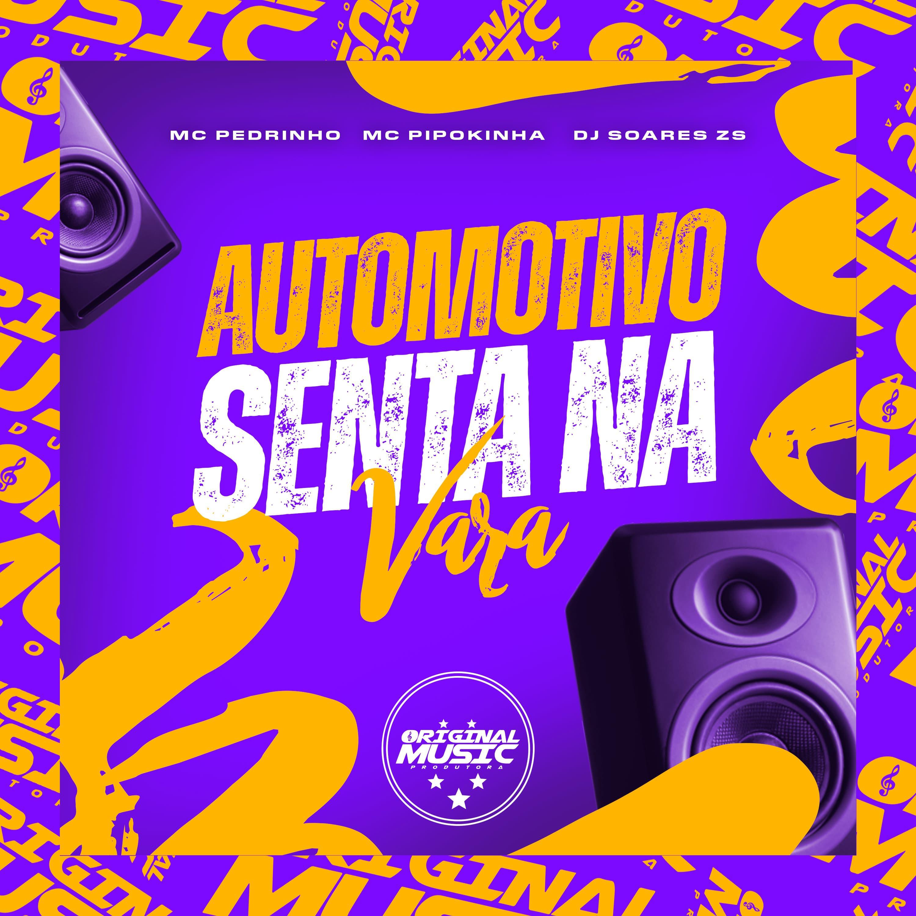 DJ SOARES ZS - Automotivo Senta Na Vara