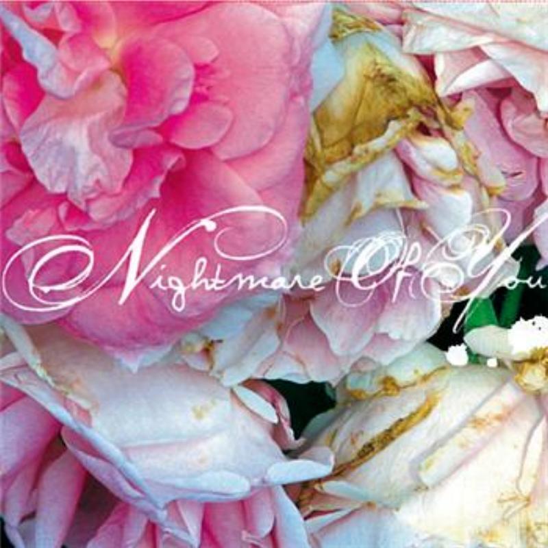 Nightmare of You
