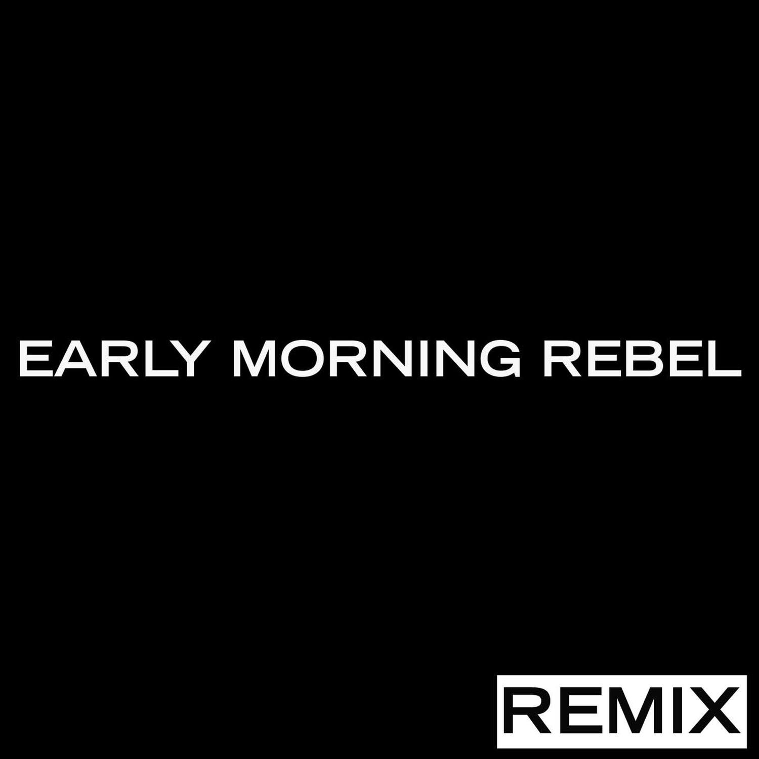 Hold on (RoboSoul Remix)