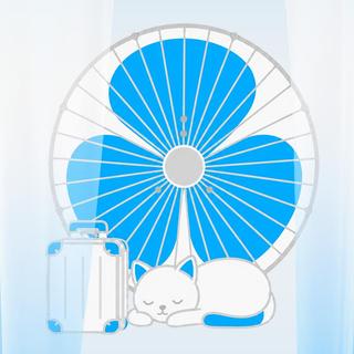 盛夏未完：把夏天的歌装进毕业行李箱