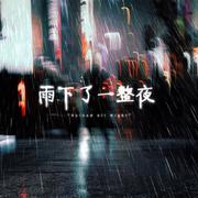 雨下了一整夜