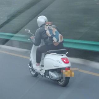 ☁︎欧美☁︎让你沦陷的男音