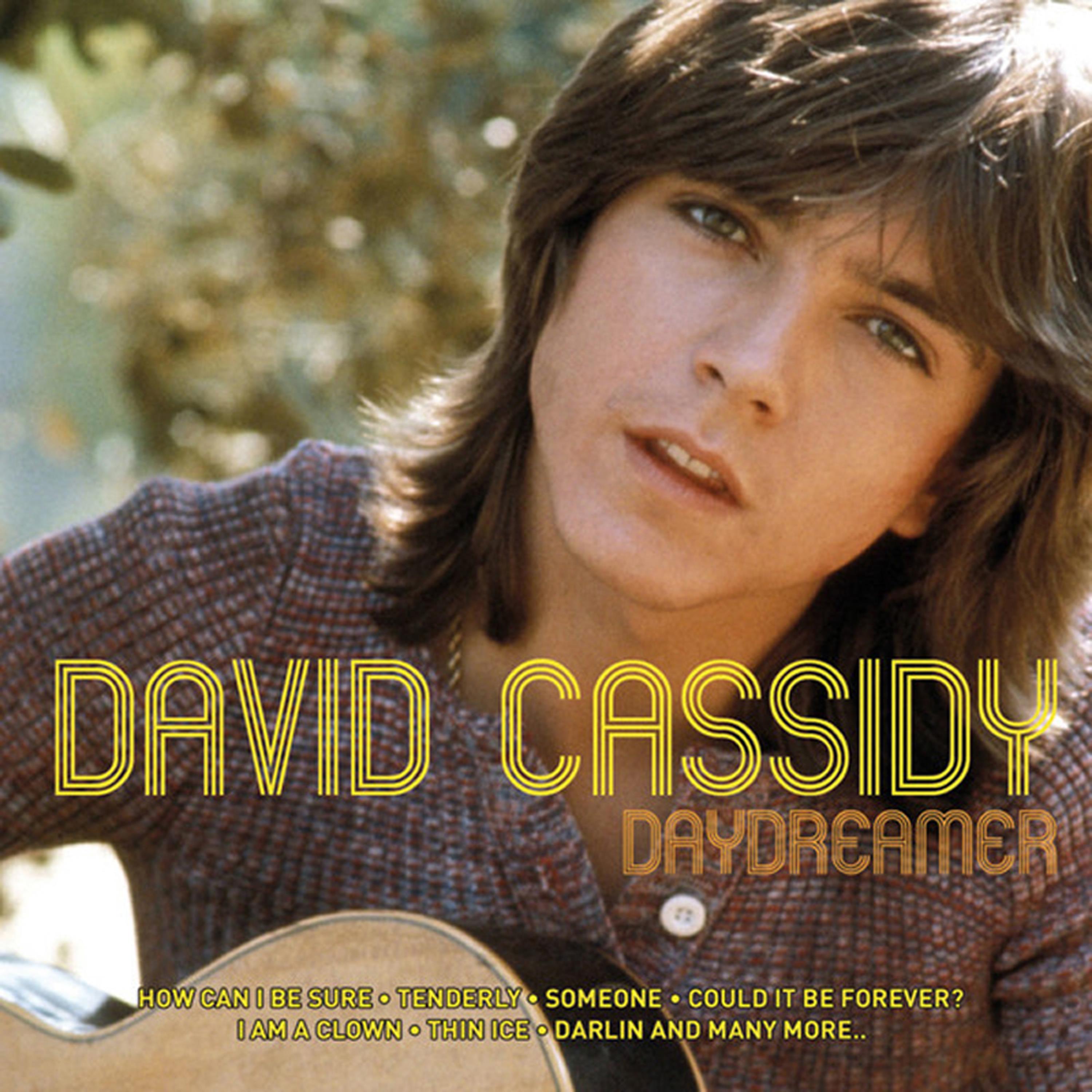 David Cassidy - She Knows All About Boys