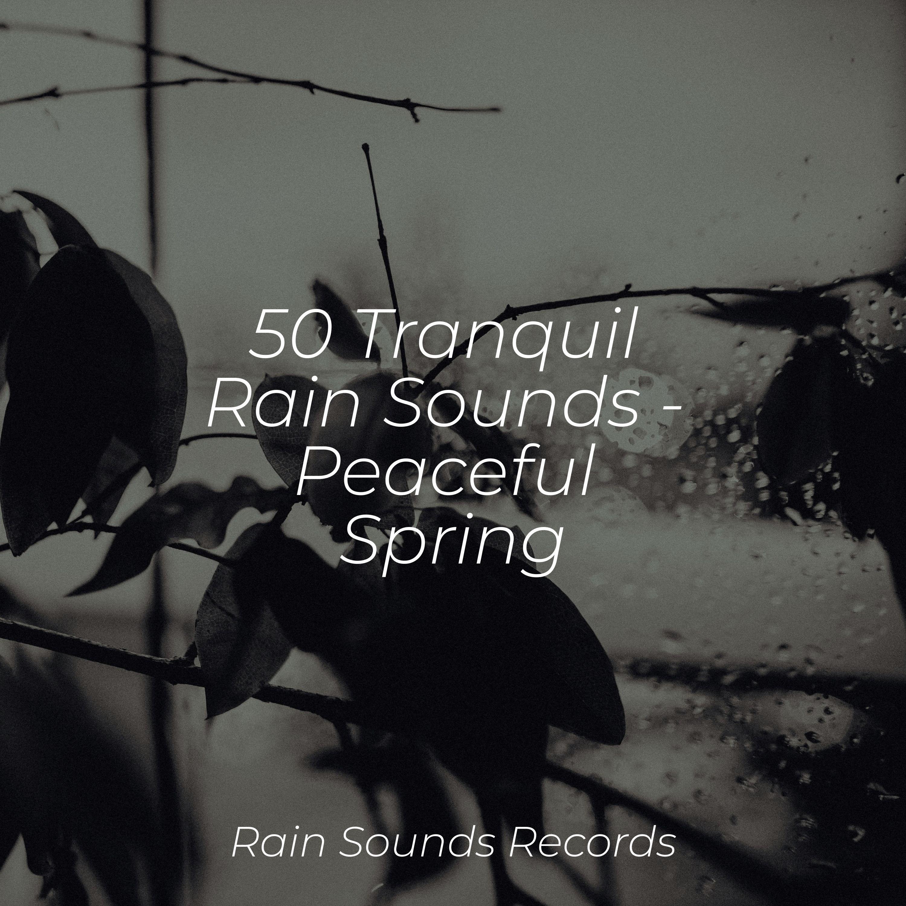 Rain for Deep Sleep - Urban Rainfall Melodies