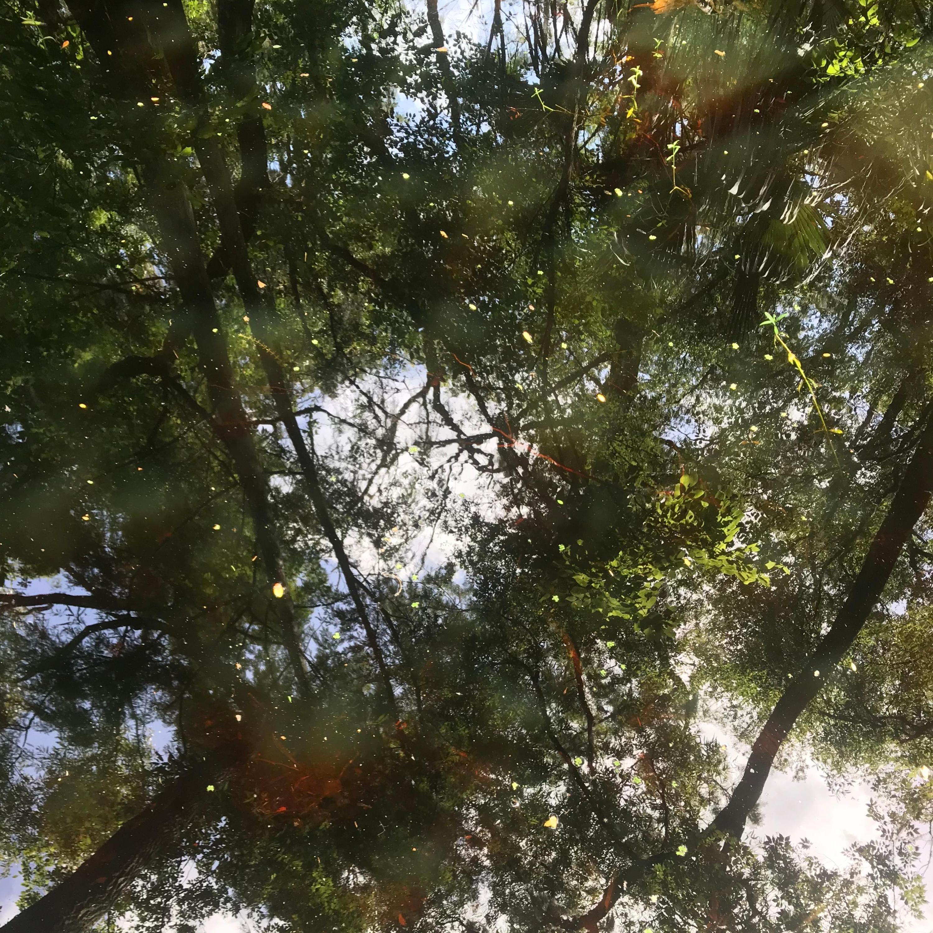 en los tiempos viejos...