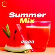 Summer Mix 2023: The Best Dance, Pop, and Future House Music by Hoop Records