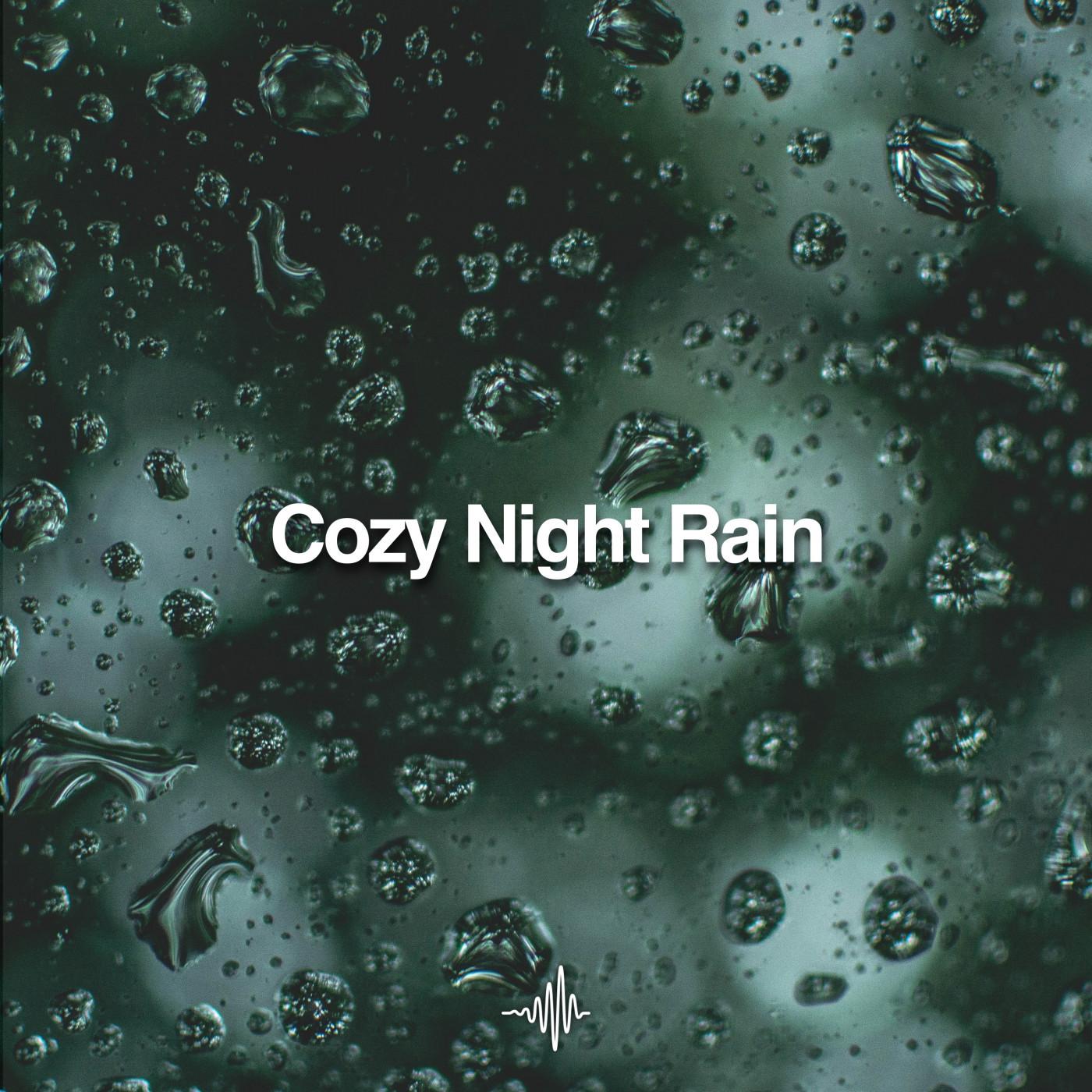 Cozy Night Rain White Noise Sounds for Sleep