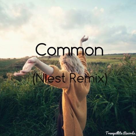 Common (Niest Remix)
