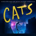 Cats: Highlights From The Motion Picture Soundtrack专辑
