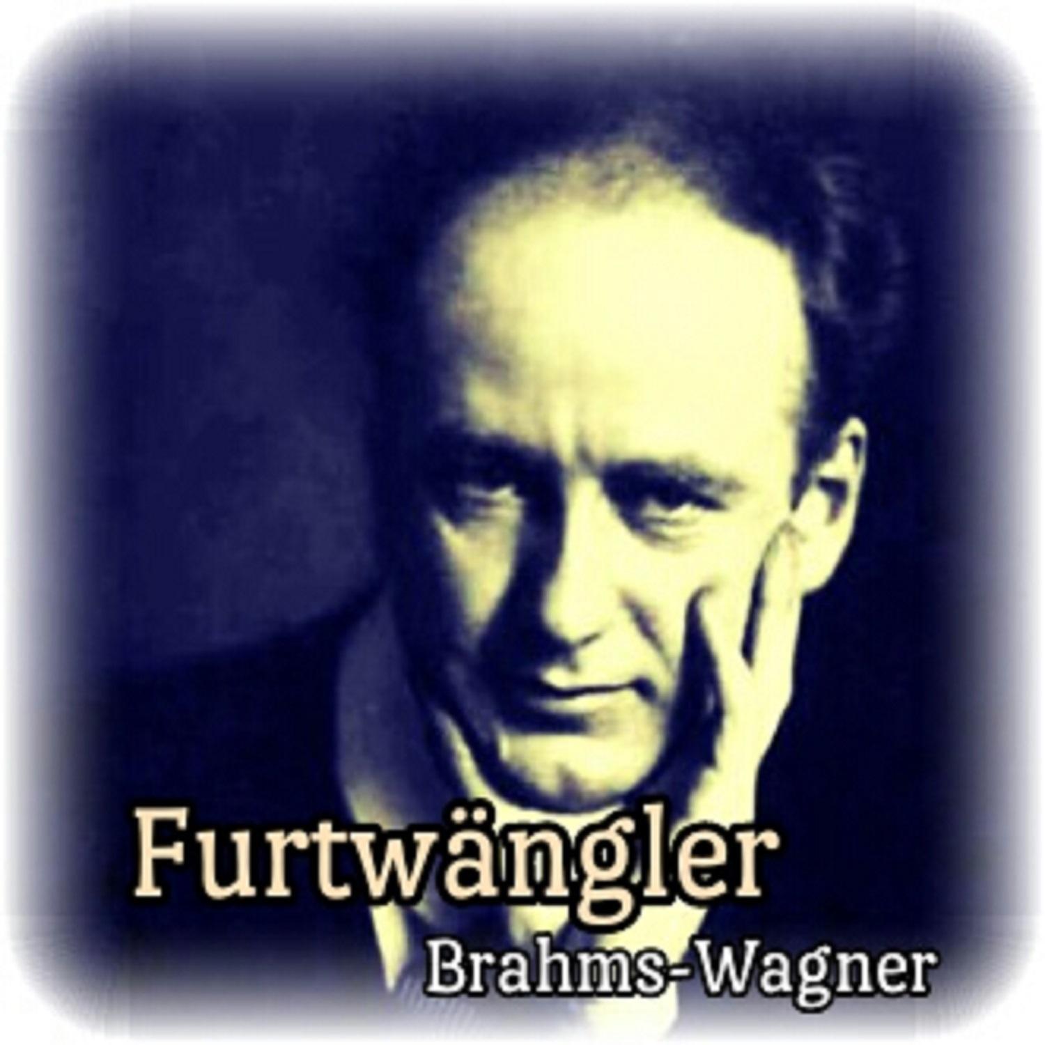 Furtwängler, Brahms-Wagner专辑