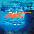 Tropical House