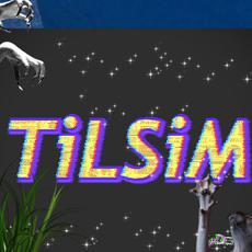 TiLSiM