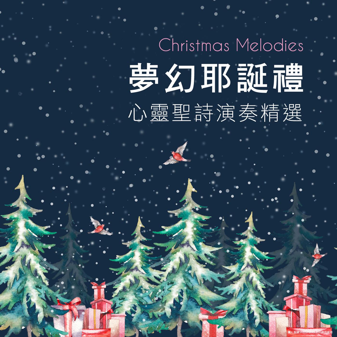 夢幻耶誕禮 / 心靈聖詩演奏精選