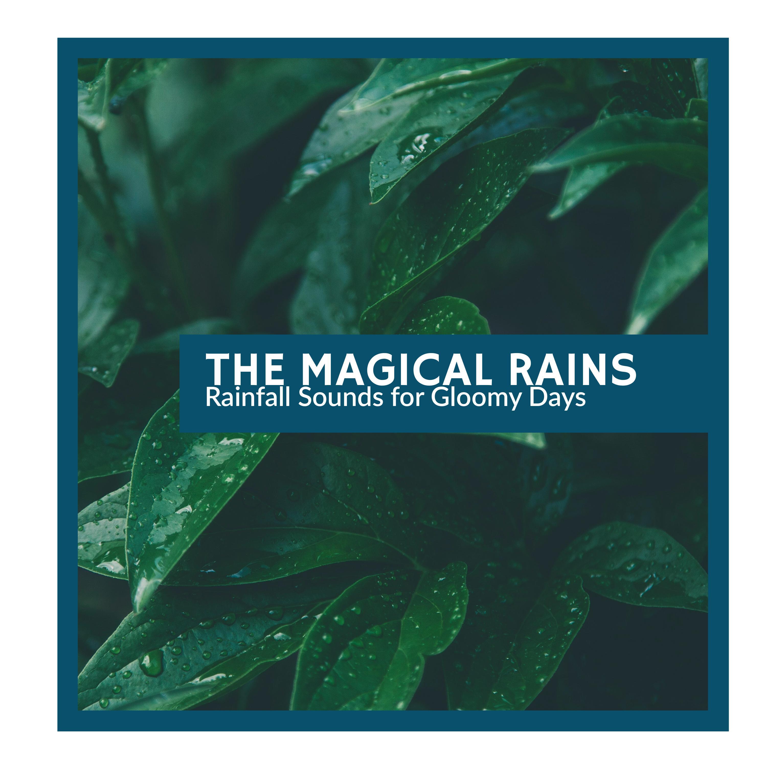 Magical Healing Raindrops Music - Summer You're Crazy