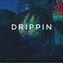 Drippin【FREE】专辑