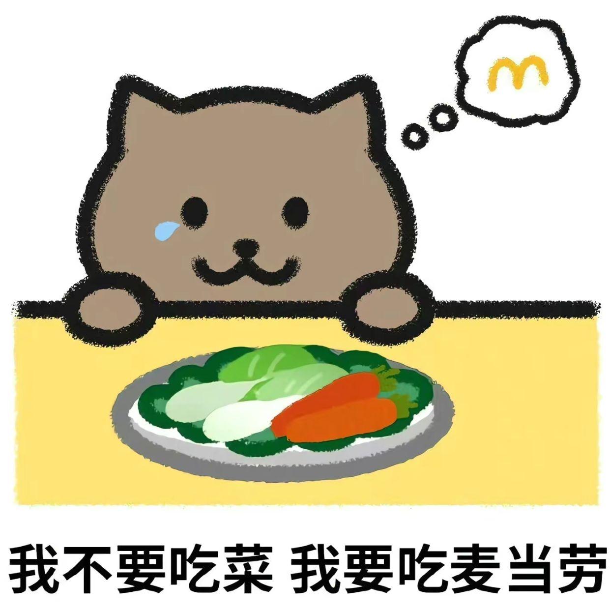 肥猫
