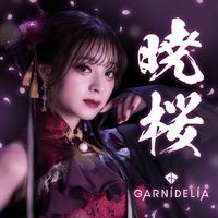 GARNiDELiA - 暁桜 (和声伴唱)伴奏