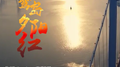 鹭岛夕阳红专辑