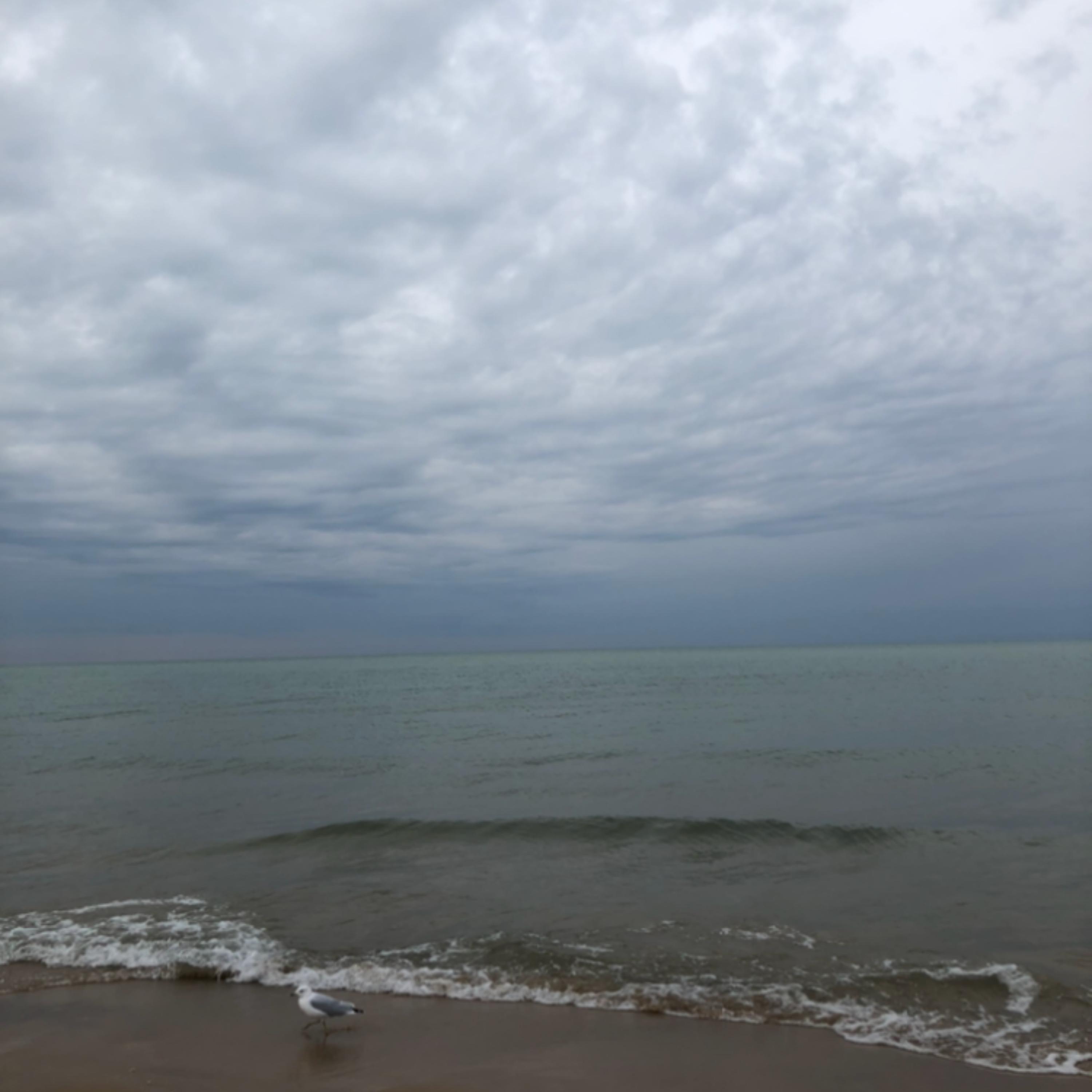 Silver Shores (feat. Branflakes)