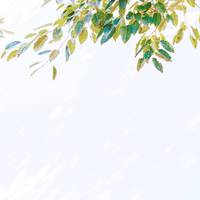 [DJ节目]如沐与清风的DJ节目 第16期