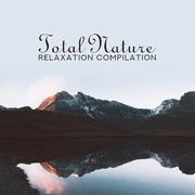 Total Nature Relaxation Compilation: Selection of 15 Best 2019 New Age Music with Nature Sounds of W
