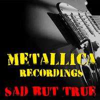 sad but true - Metallica ( 无主音吉他无人声伴奏 )