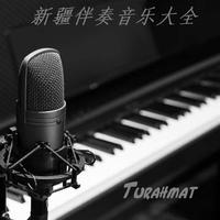 新疆歌曲大联奏（剪辑版）