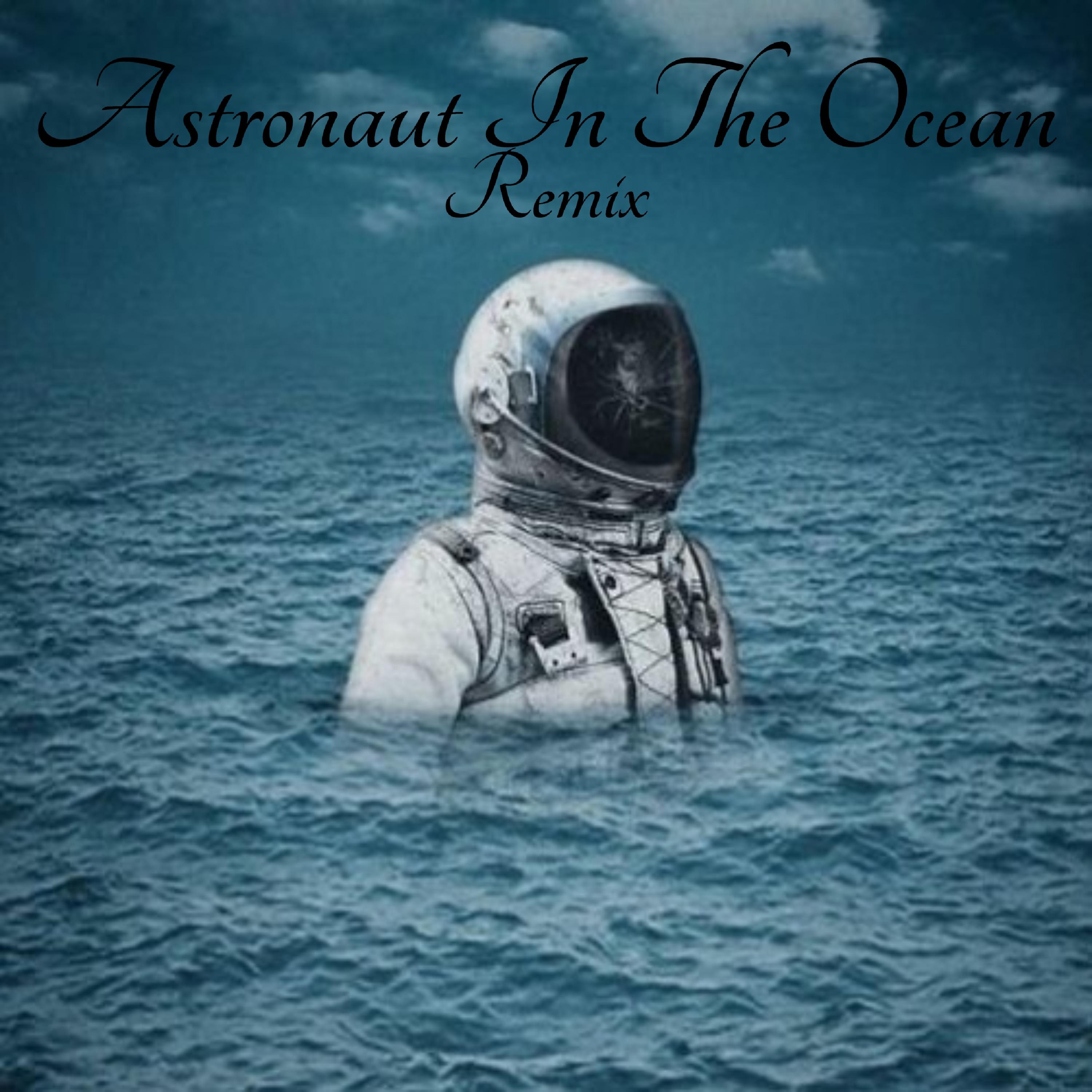 Astronaut In The Ocean Remix