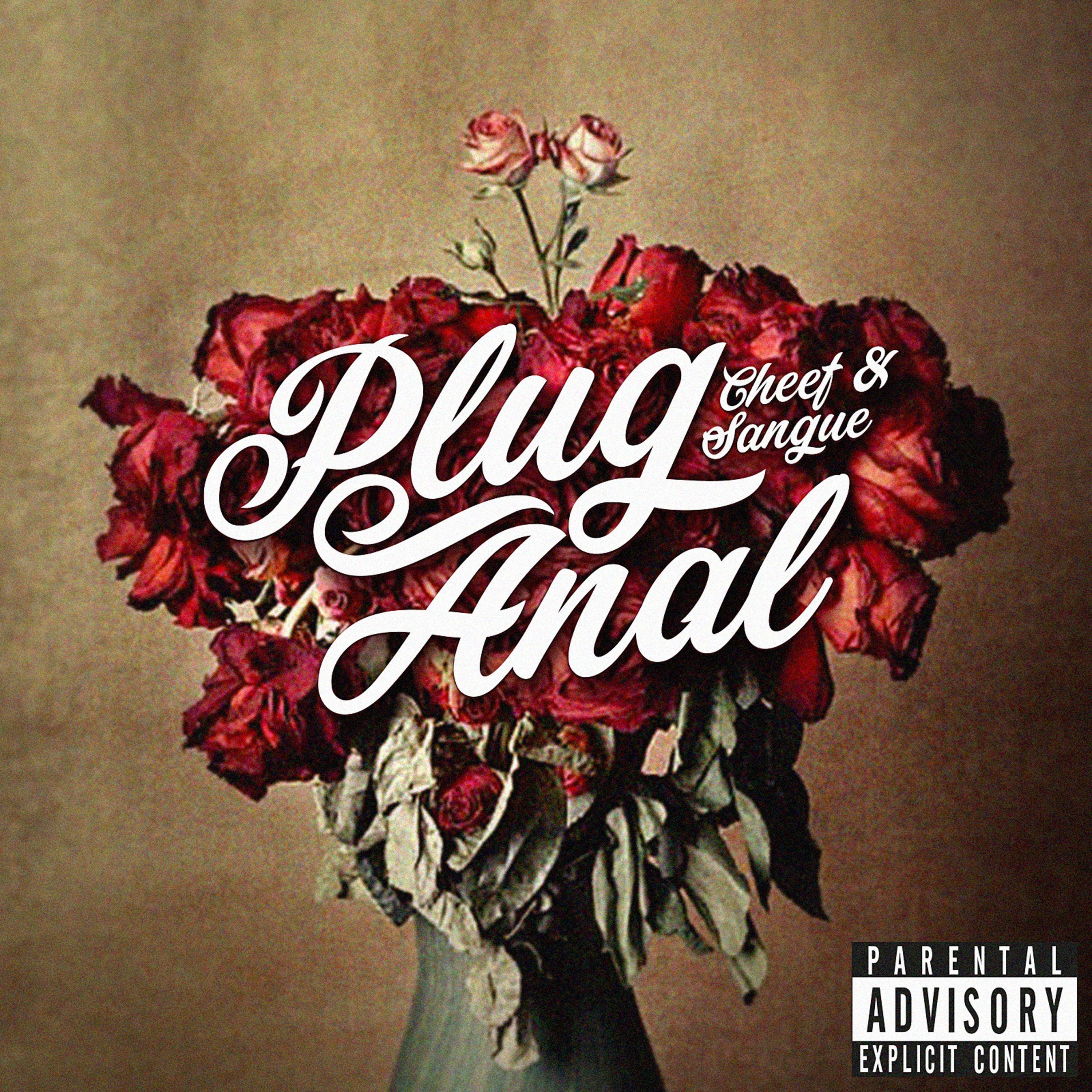 Plug Anal
