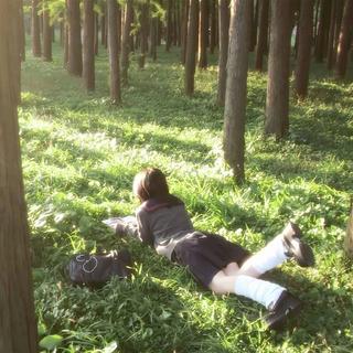 轻音乐 | 我要借绿色来比喻葱茏的爱和幸福