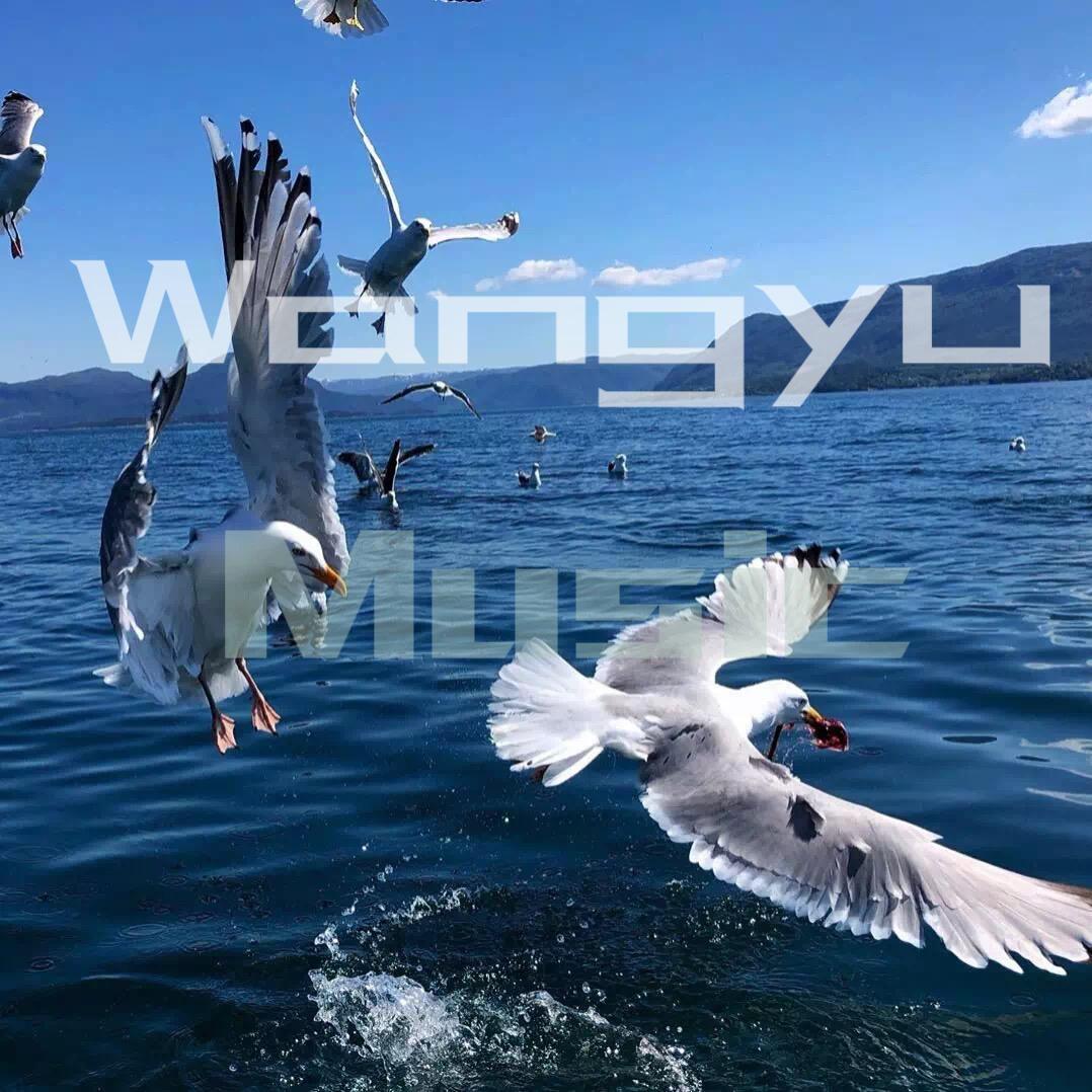 Flakkë-Talk To My Hands（妄遇Music / LIUXIANSEN remix）