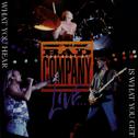 The Best Of Bad Company Live...What You Hear Is What You Get (Live Version)专辑