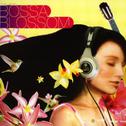 BOSSA BLOSSOM专辑