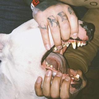 Night｜夜生活才刚刚开始