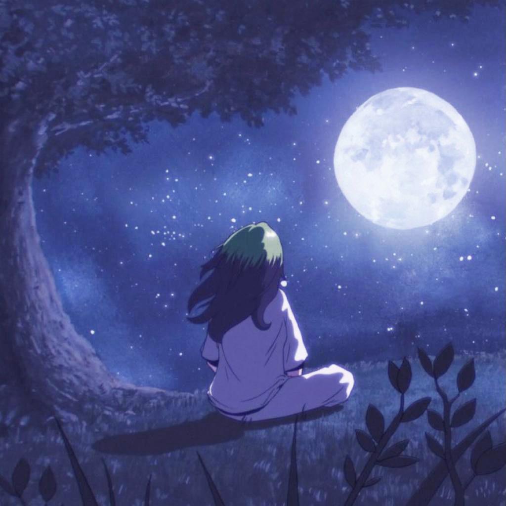治愈系纯音/在有可能的夜晚