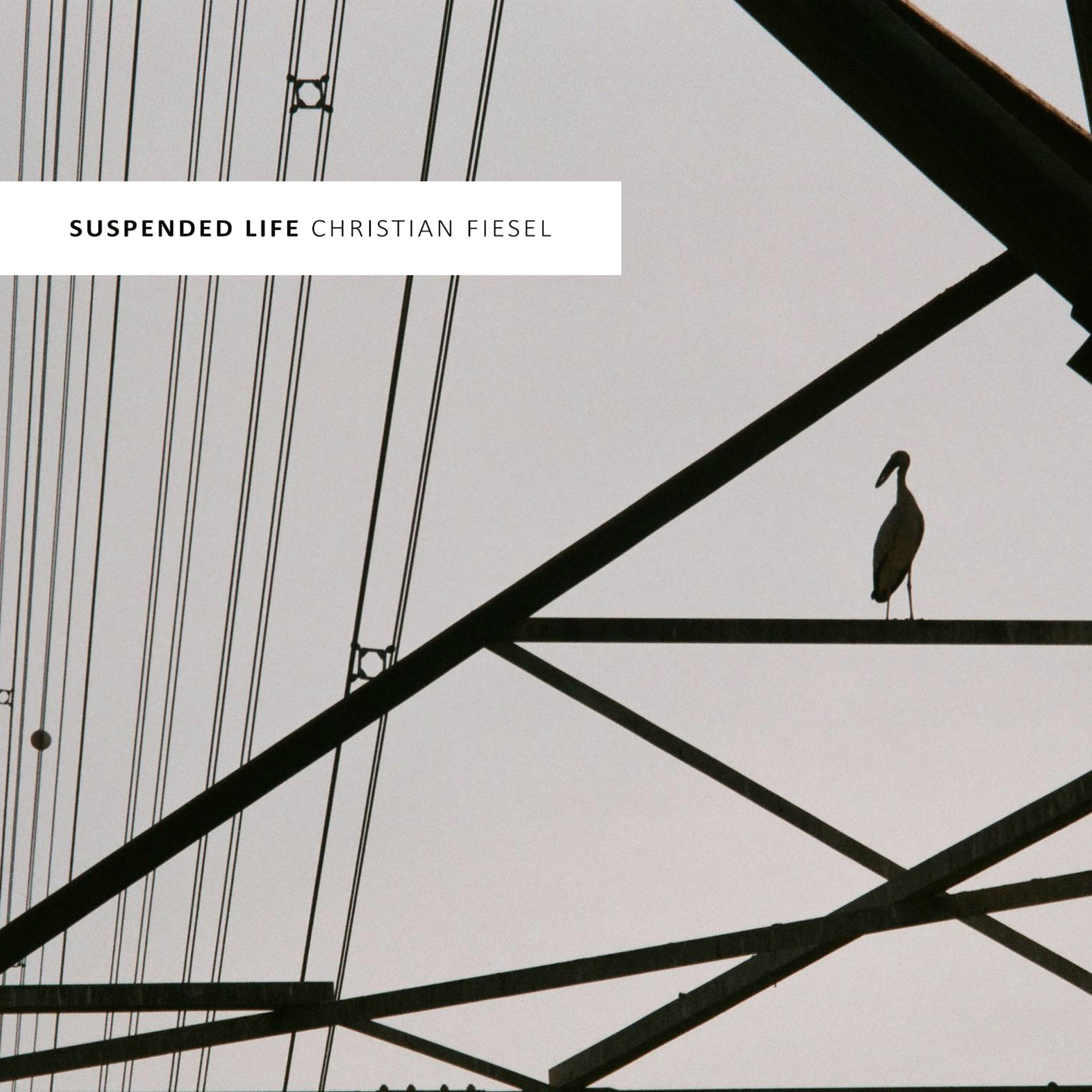 Christian Fiesel - Suspended LIfe