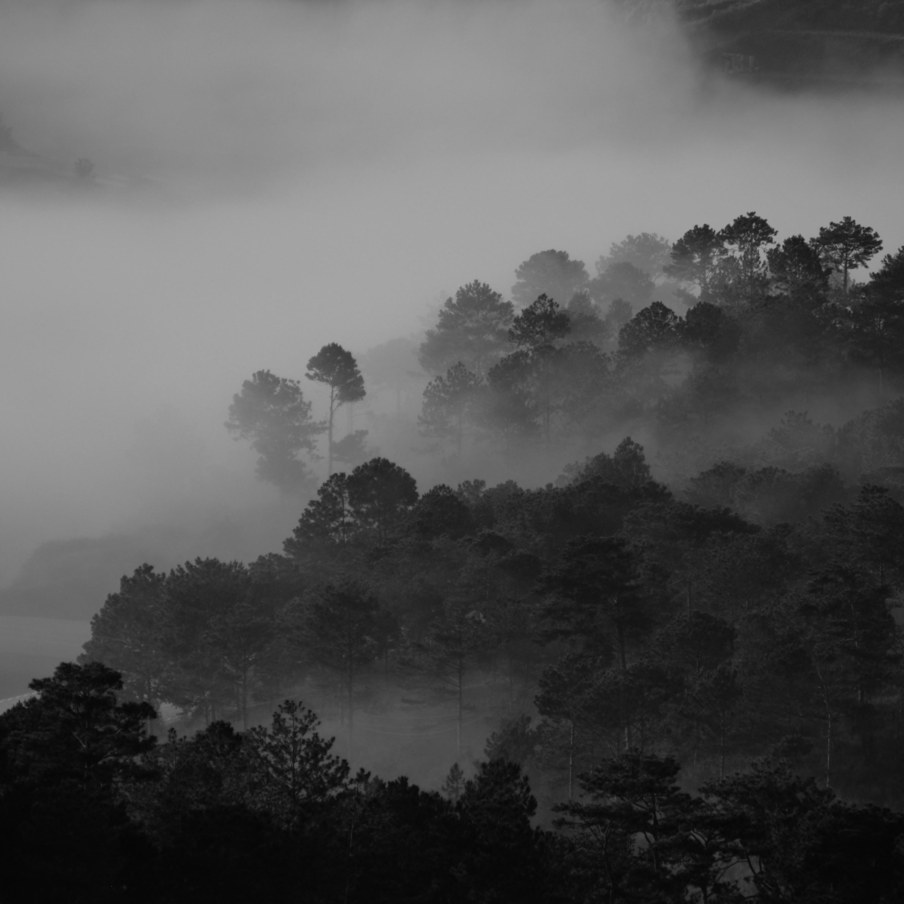 Calming Ambient Sounds | Meditation