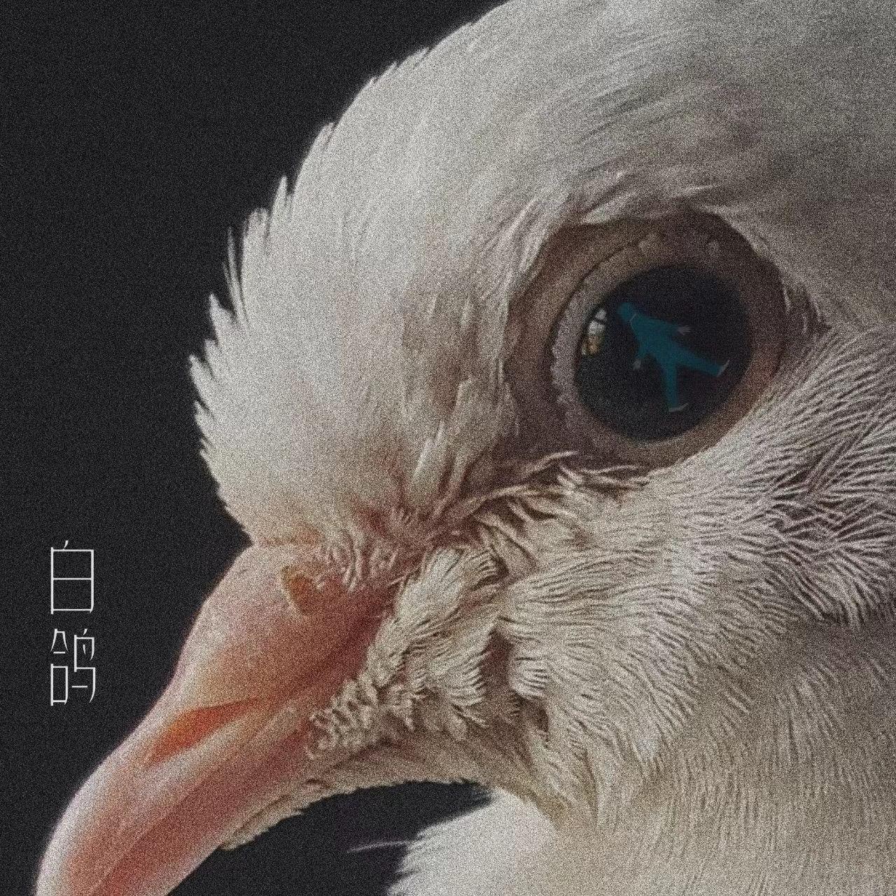 清明霓虹谷歌曲封面