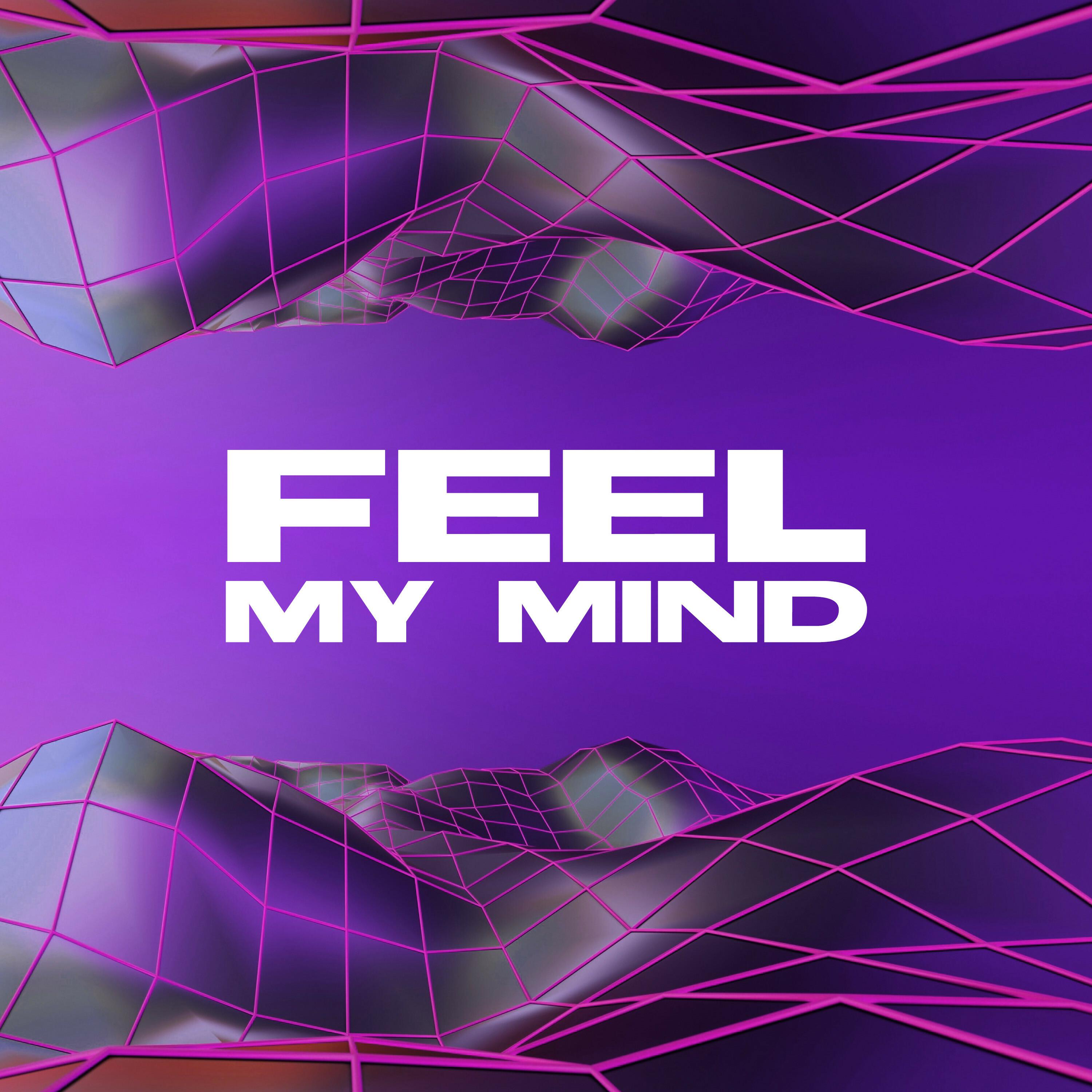 Faruk Orakci - Feel My Mind