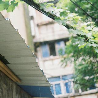 「民谣」我不曾等雨停 却一直等你来